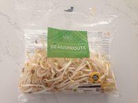 Beansprouts Report Card
