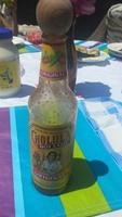 Cholula Report Card