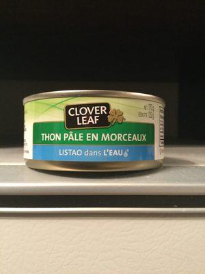 Thon Ple En Morceau