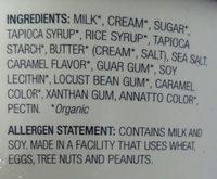 Salted Caramel Ice Cream Ingredients