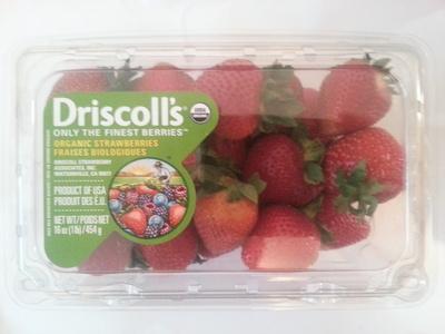 Organic Strawberries