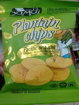Plantain Chips Pacific Sea Salt