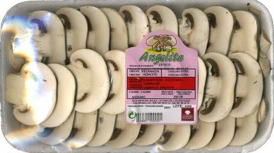 Championes Laminados &quot;Angelita&quot;