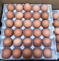 Caisse De 240 Oeufs Frais Report Card