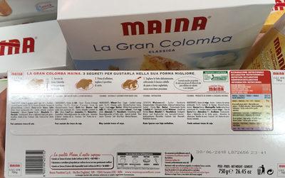 Gran Colomba Maina