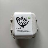 Organise Swiss Eggs Report Card