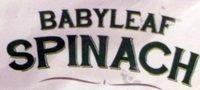 Babyleaf Spinash Ingredients