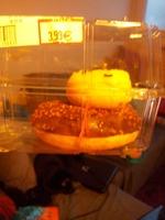 Doonys Assortis Report Card