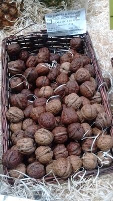 Noix Fraches Du Sud-Ouest