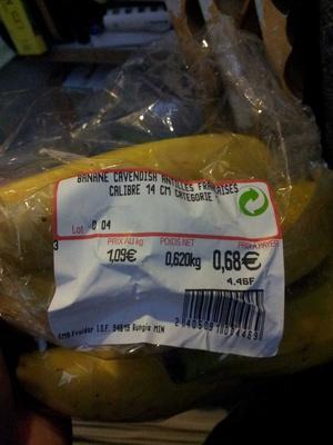 Banane Cavendish