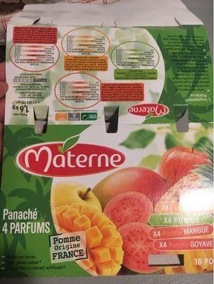 Panach Pomme Ananas Mangue Goyave, 16x100g