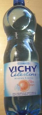 Vichy Clestins