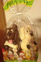 Moulage Chiens Report Card