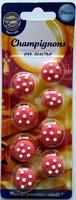 Champignons En Sucre Report Card