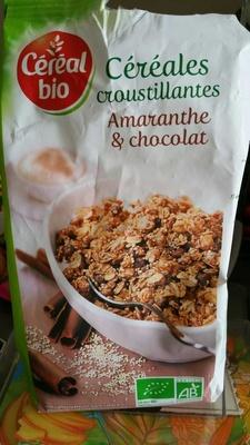 Crales Croustillantes Amaranthe Chocolat