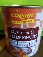 Selection De Champignons Report Card