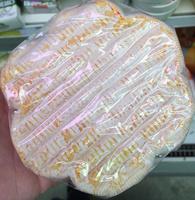 Tourtain (33% MG) Report Card