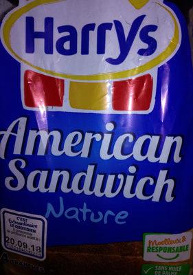 Amrican Sandwich Nature