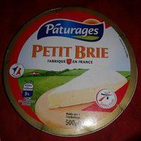 Petit Brie Report Card