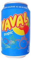 Vaval Tropic Report Card