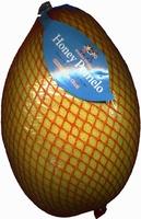 Pomelo Chino Report Card