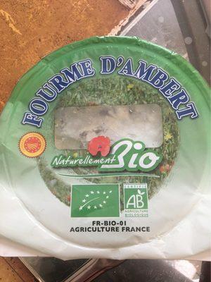 Fourme D'ambert