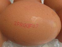 10 Oeufs Frais Ingredients