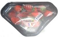 Ciflorette Report Card