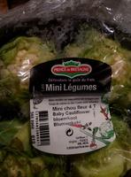 Mini Chou-Fleur Report Card