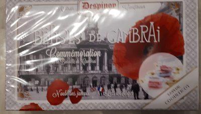 Btise De Cambrai