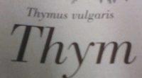 Thym Ingredients