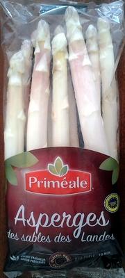 Asperges Des Sables Des Landes