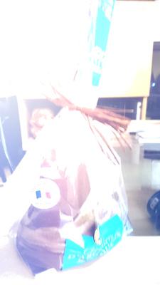 Cloche Au Chocolat Au Lait 