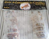 Queue De Langouste Blanche - Panulirus Argus Report Card