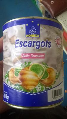 Escargots Belle Grosseur