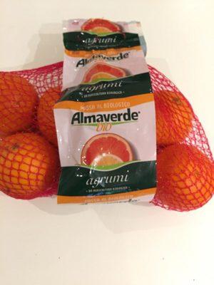 Orange Sanguine