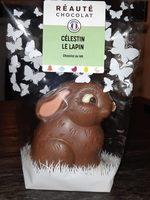 Clestin Le Lapin Report Card