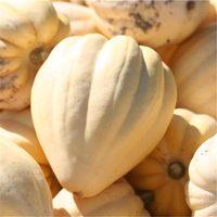 Cornue D'hiver Report Card