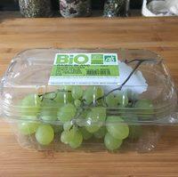 Raisin Blanc Report Card