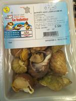 Bulots Cuits Report Card