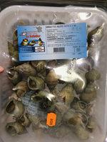 Bulots Cuits Report Card