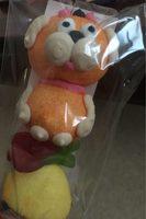 Brochette Chien Report Card