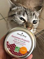 Gommes Propolis Report Card