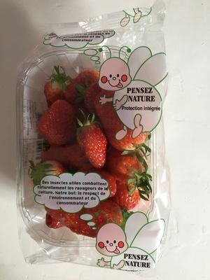 Fraises Gariguettes
