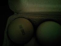 10 Frische Eier Aus Bodenhaltung Ingredients