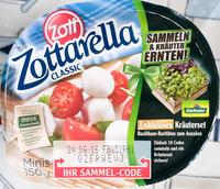 Zottarella Classic Report Card