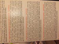 Pain Rustico Bio - 500 GR - Schnitzer Ingredients