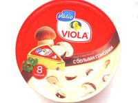   «Viola «     Report Card