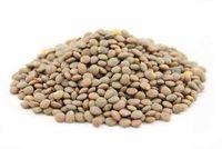 Lentil Report Card