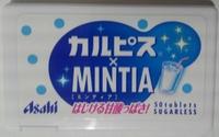 XMINTIA Report Card